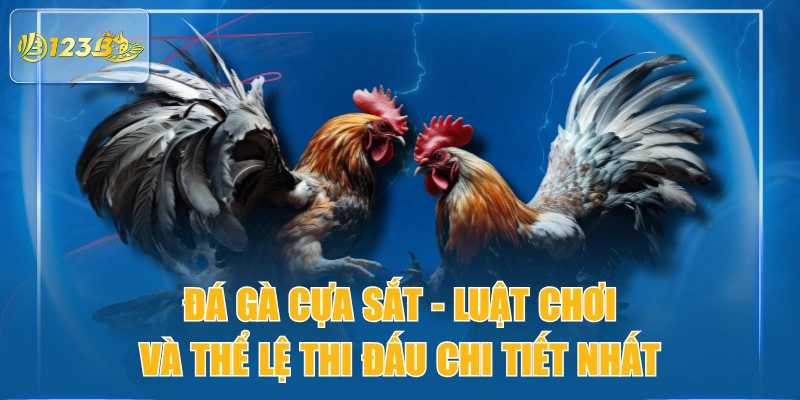 Đá Gà Cựa Sắt - Luật Chơi Và Thể Lệ Thi Đấu Chi Tiết Nhất