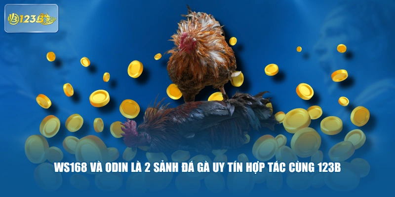 WS168 và ODIN là 2 sảnh Đá Gà uy tín hợp tác cùng 123B